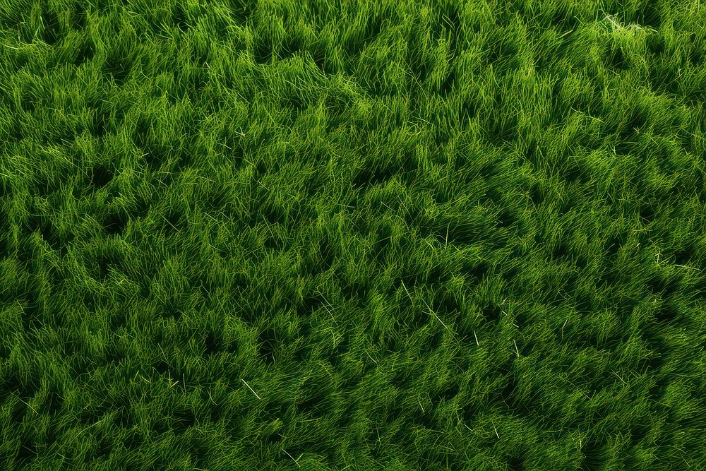 Grass land backgrounds outdoors. AI generated Image by rawpixel.