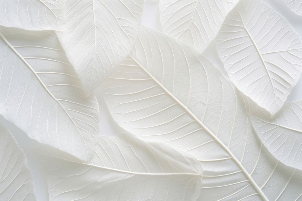 White plant leaf backgrounds. AI generated Image by rawpixel.