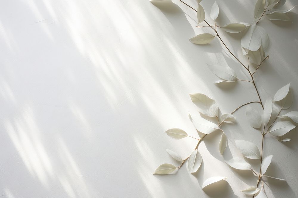 Plant petal white paper. AI generated Image by rawpixel.