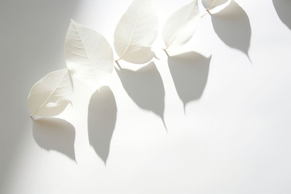 Petal plant white paper. AI generated Image by rawpixel.