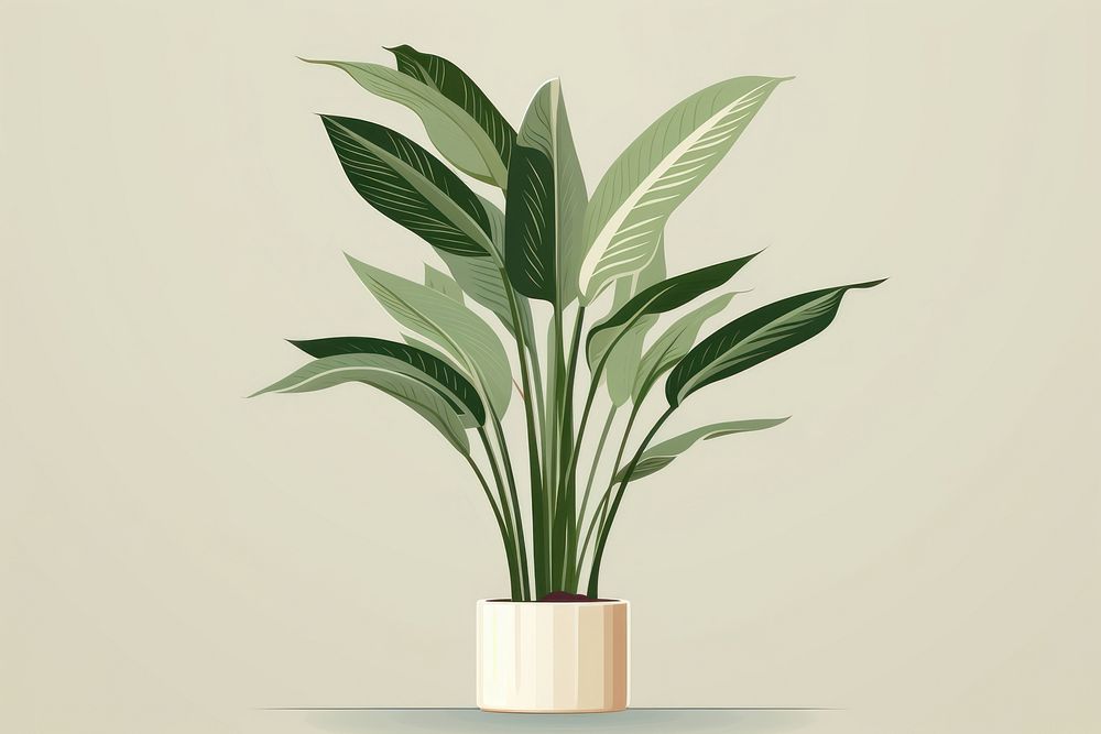 Plant leaf houseplant floristry. AI generated Image by rawpixel.