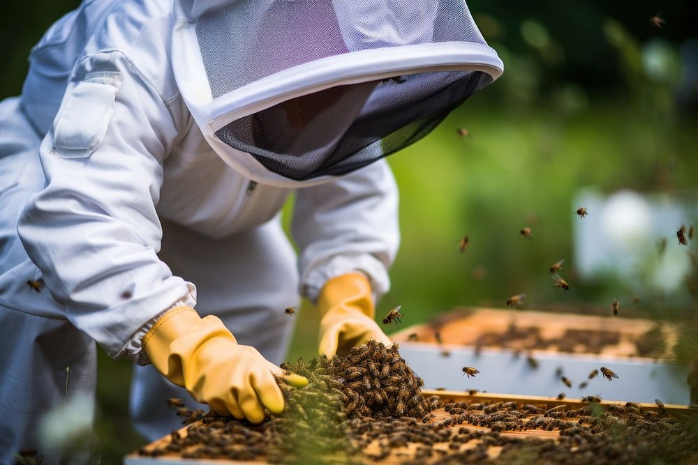 Apiculture protection insect apiary. AI generated Image by rawpixel.