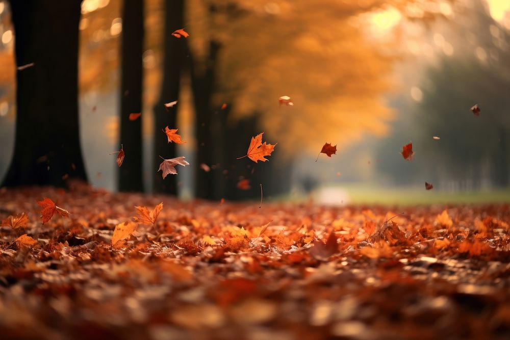 Autumn falling leaves plant. AI generated Image by rawpixel.