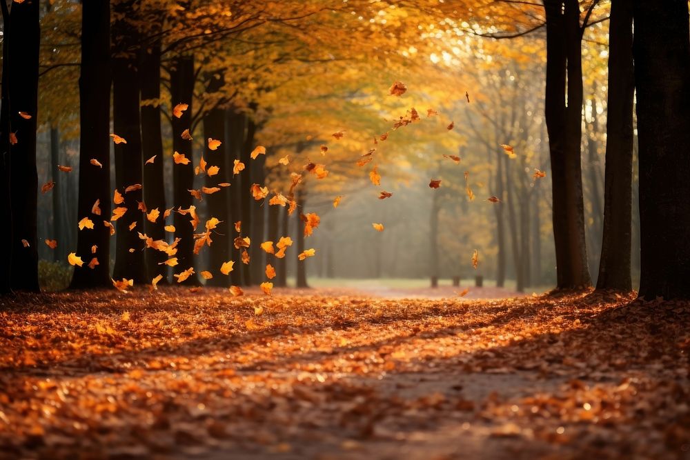 Autumn falling leaves plant. | Premium Photo - rawpixel