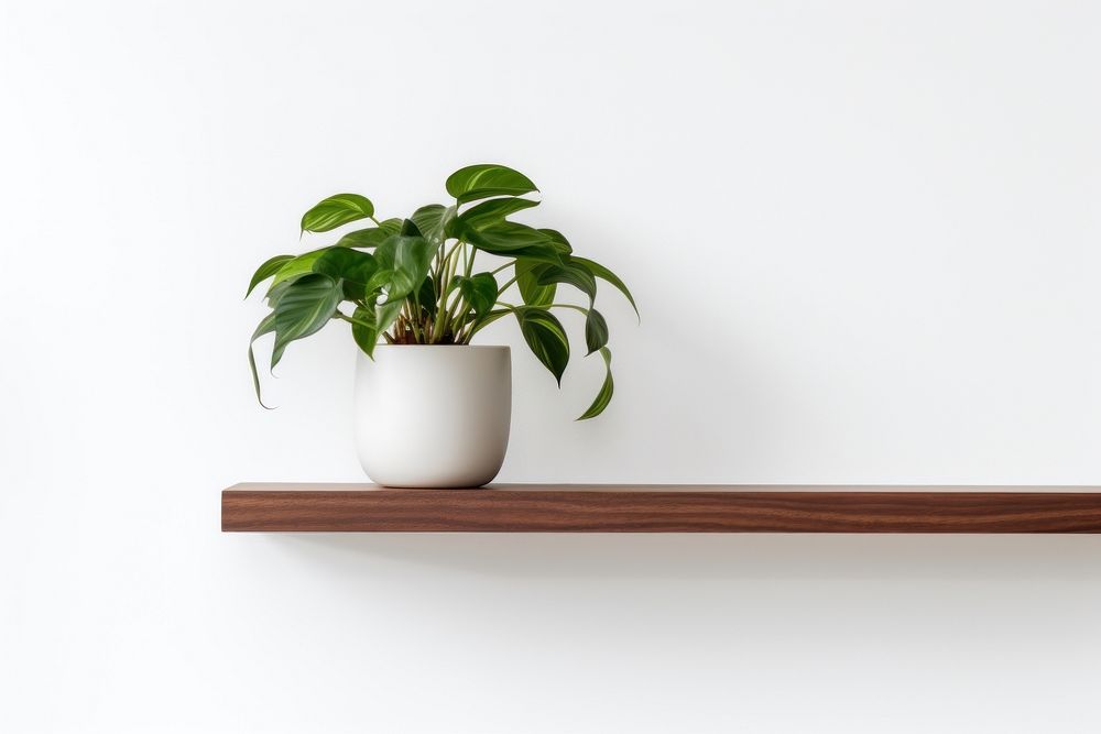 Shelf plant houseplant vase. AI generated Image by rawpixel.