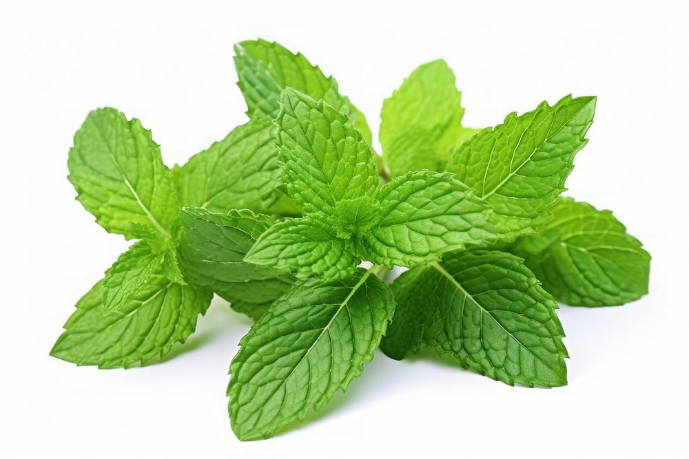 Peppermint tea plant herbs leaf. AI generated Image by rawpixel.