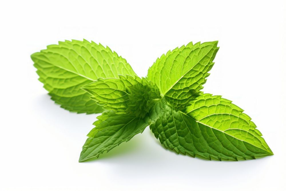Peppermint leaf plant herbs spearmint. AI generated Image by rawpixel.