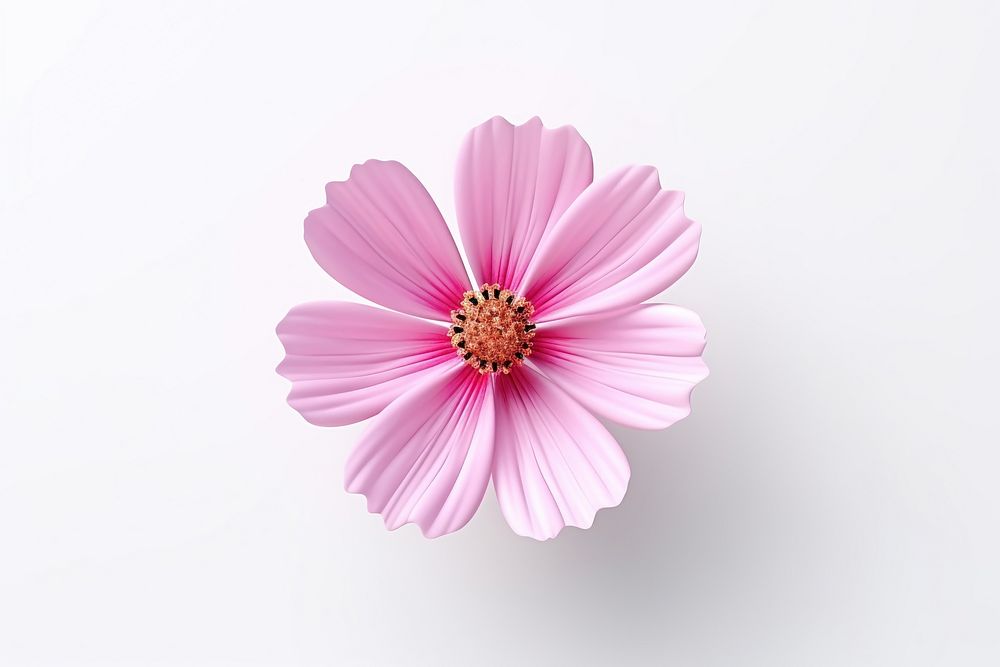 Blossom flower cosmos petal. AI generated Image by rawpixel.