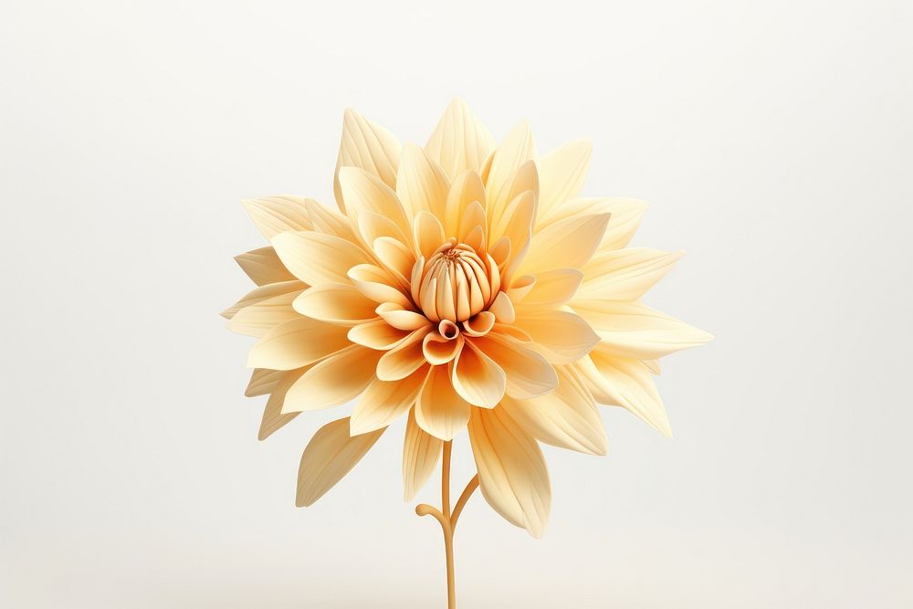 Flower dahlia plant inflorescence. AI generated Image by rawpixel.