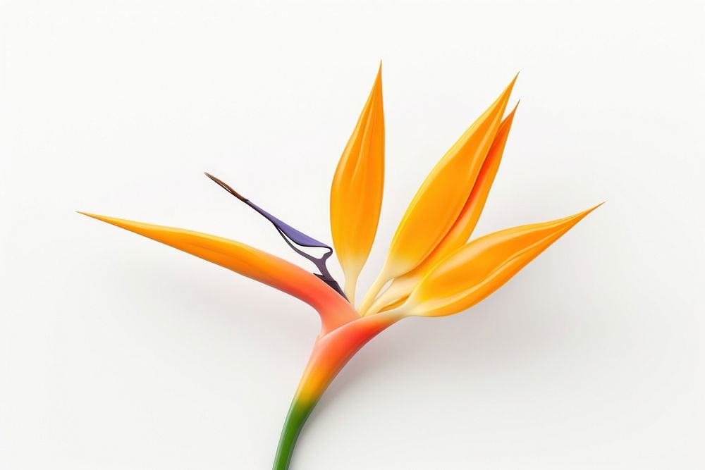Flower petal plant bird. AI generated Image by rawpixel.