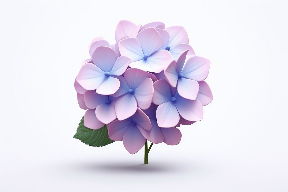 Hydrangea blossom flower petal. AI generated Image by rawpixel.