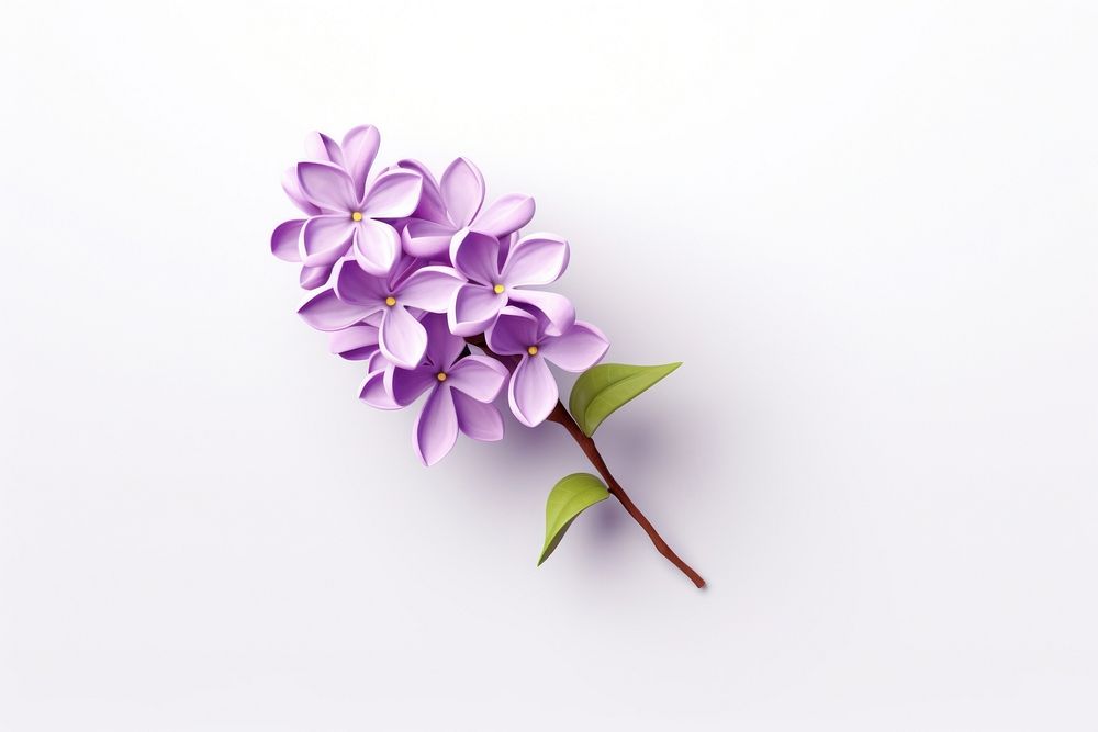 Flower lilac plant white background. AI generated Image by rawpixel.