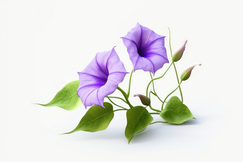 Flower purple plant leaf. AI generated Image by rawpixel.