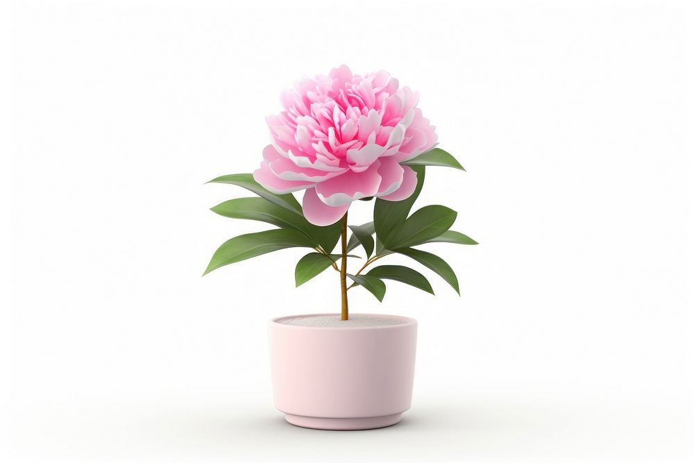 Flower blossom plant peony. AI generated Image by rawpixel.