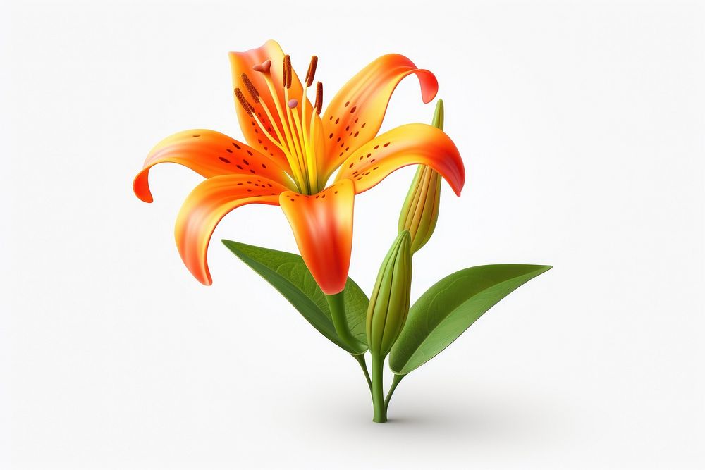 Flower lily plant white background. AI generated Image by rawpixel.