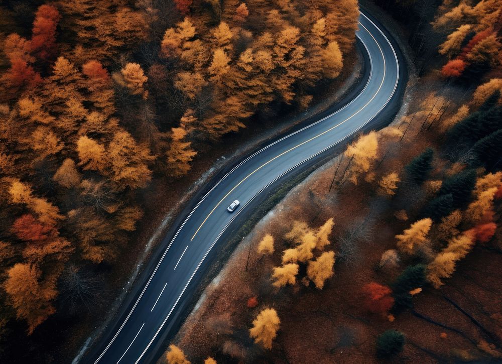Forest road land car. AI generated Image by rawpixel.