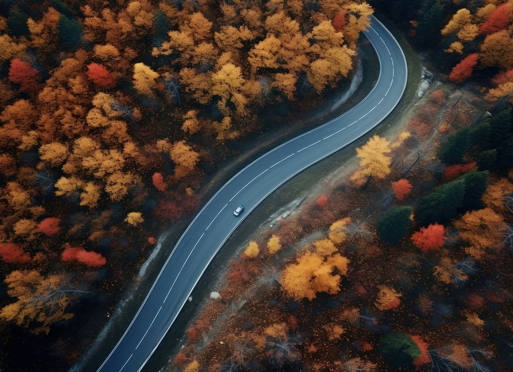 Forest road land outdoors. AI generated Image by rawpixel.