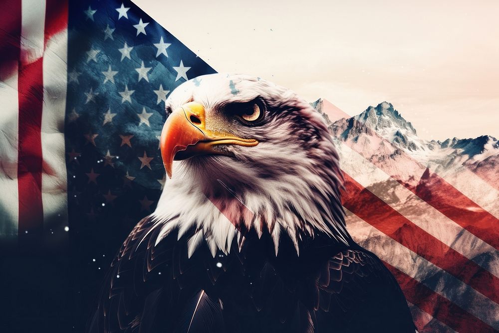 Flag animal eagle bird. AI generated Image by rawpixel.
