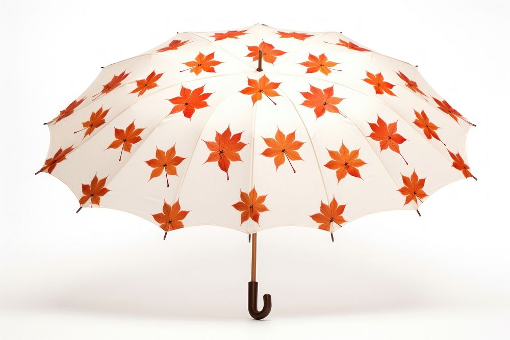 Umbrella pattern maple leaf. 