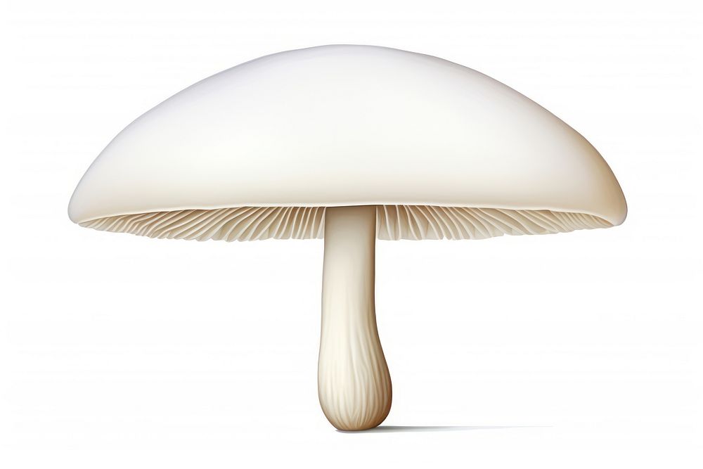 Mushroom fungus agaric lamp. AI generated Image by rawpixel.