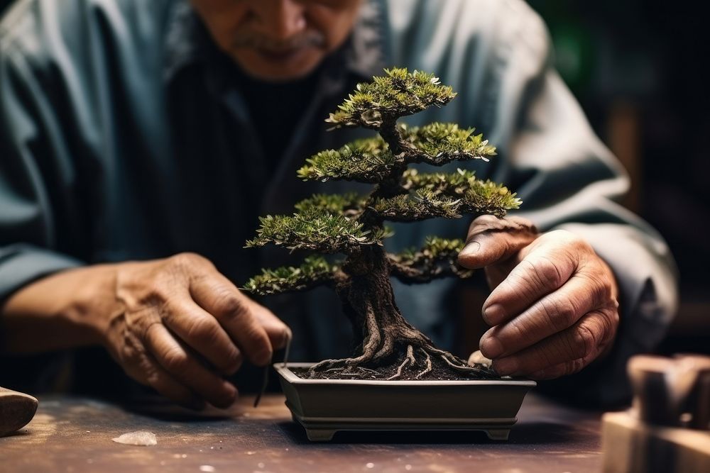 Bonsai plant adult tree. AI generated Image by rawpixel.