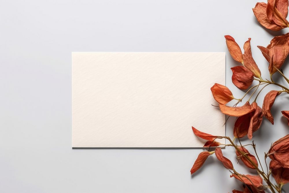 Nature plant paper text. AI generated Image by rawpixel.