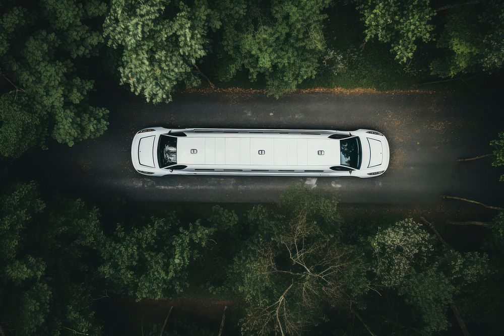 Outdoors vehicle nature forest. 