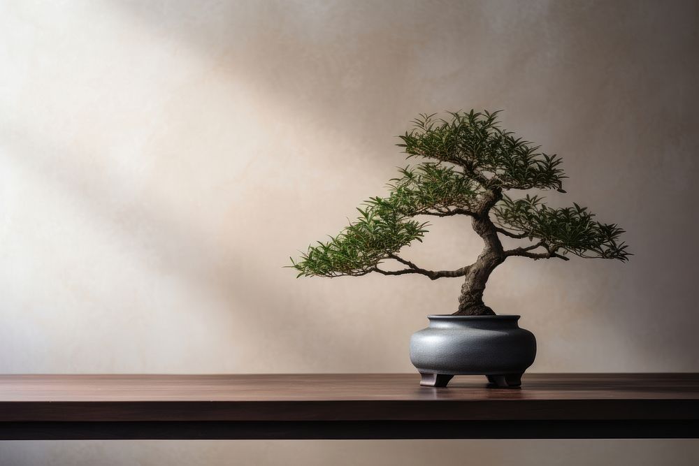 Bonsai tree plant bonsai tree. AI generated Image by rawpixel.