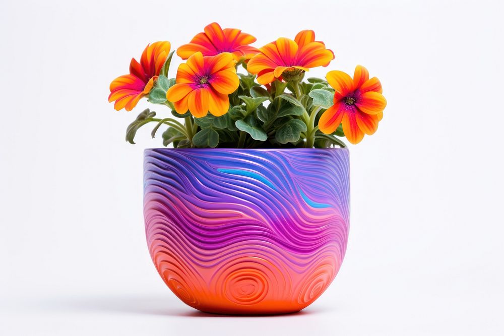 Flower flowerpot plant petal. AI generated Image by rawpixel.