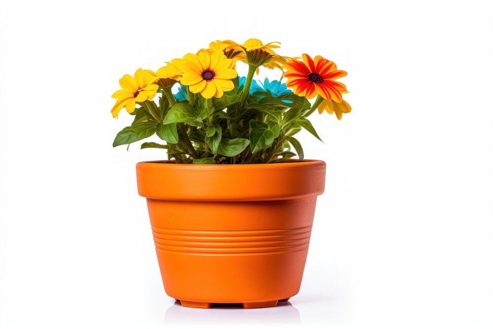 Flower flowerpot plant vase. AI generated Image by rawpixel.