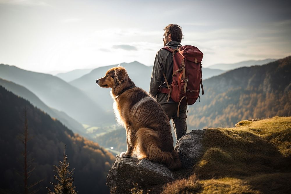 Backpack hiking dog adventure. AI generated Image by rawpixel.