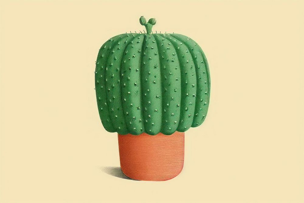 Astrophytum myriostigma cactus plant houseplant flowerpot. AI generated Image by rawpixel.