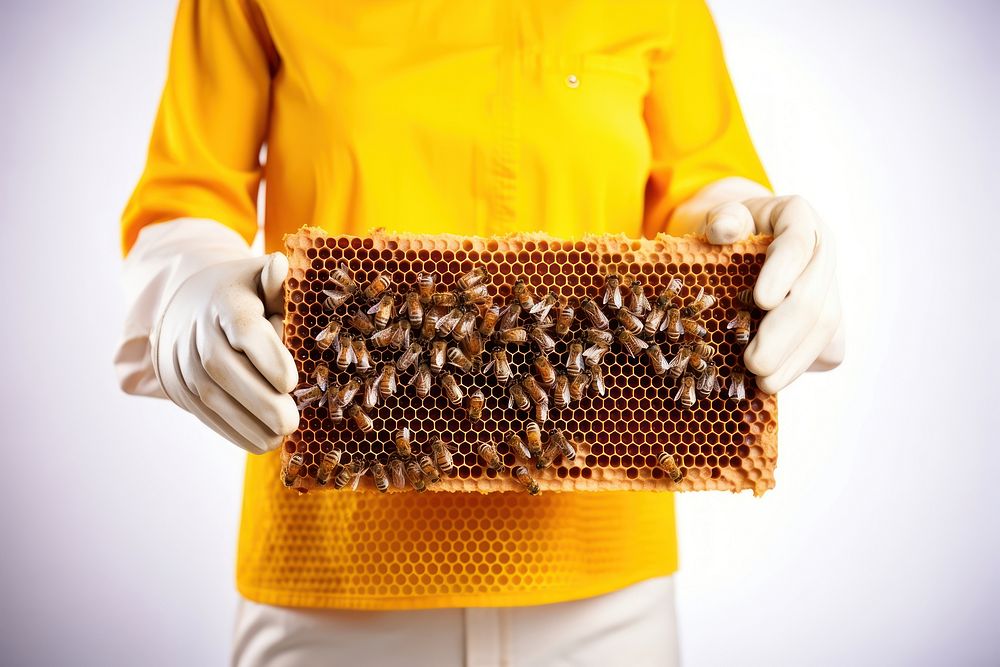 Honeycomb bee apiculture beekeeper. AI generated Image by rawpixel.