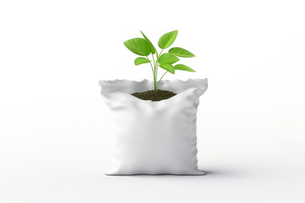 Plant leaf white background beginnings. AI generated Image by rawpixel.