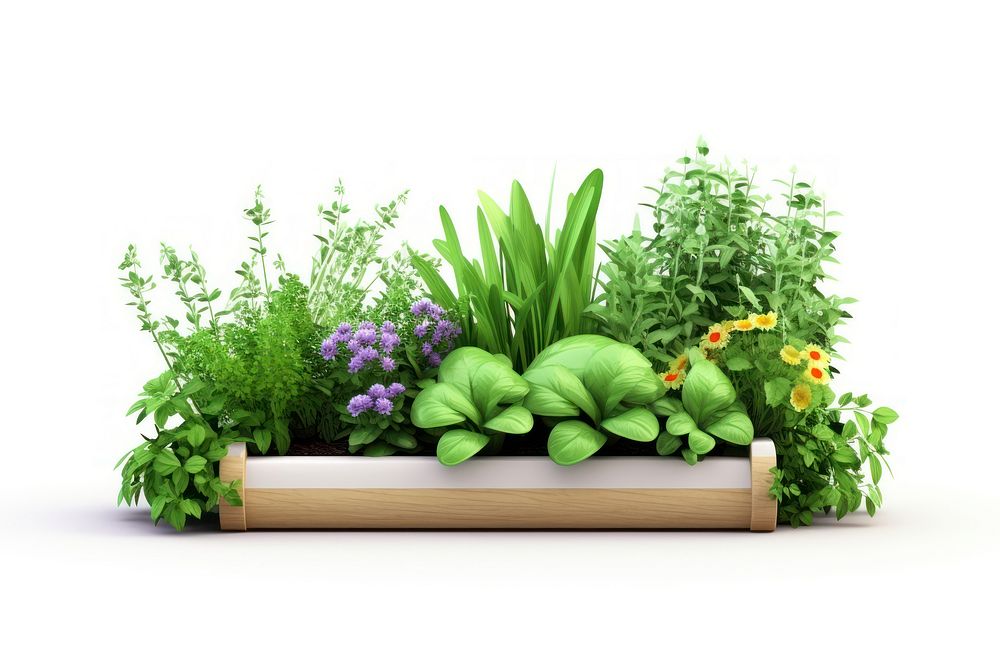Garden herbs outdoors flower. AI generated Image by rawpixel.