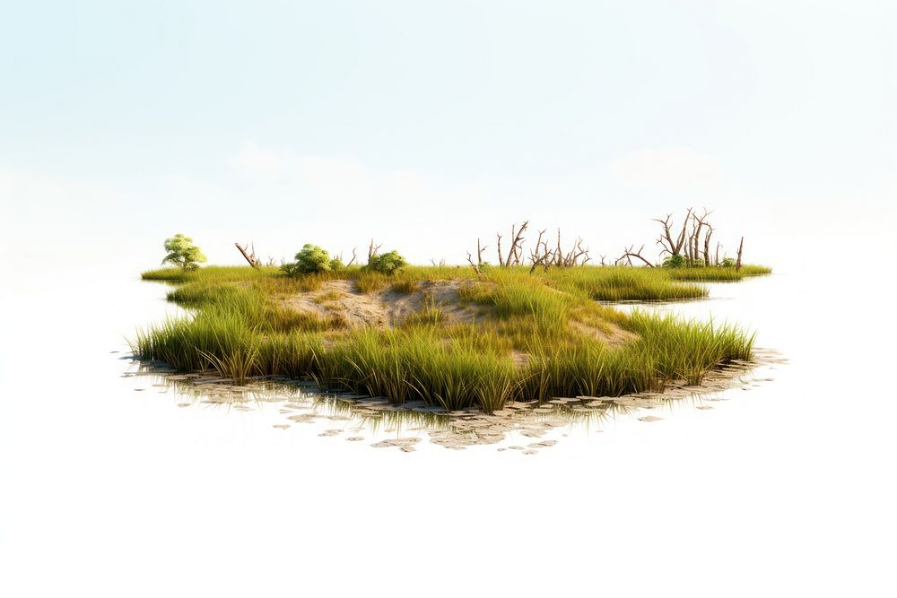 Marsh landscape outdoors nature. AI generated Image by rawpixel.