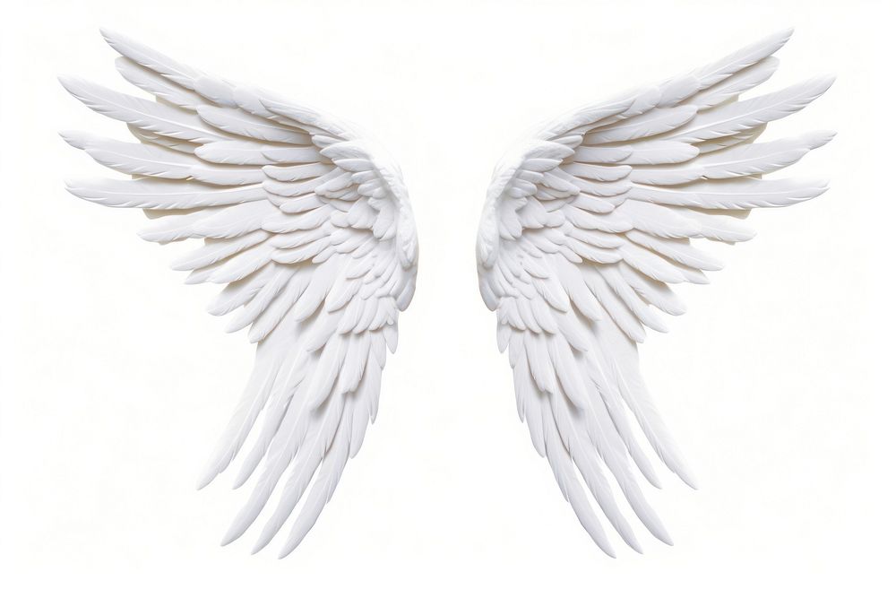 Angel white wing bird. AI | Premium Photo Illustration - rawpixel