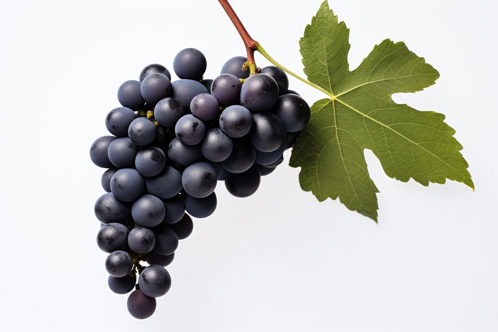 Grapes vine vineyard fruit. AI generated Image by rawpixel.