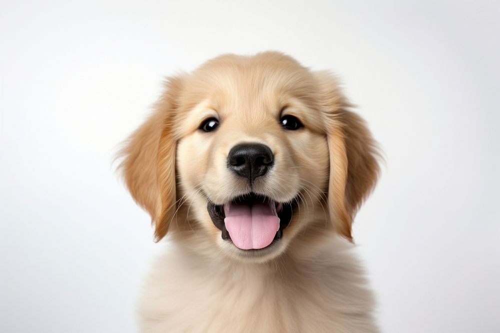 Puppy smiling mammal animal. AI generated Image by rawpixel.