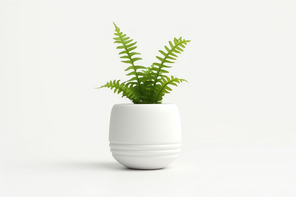 Plant fern vase leaf. AI generated Image by rawpixel.