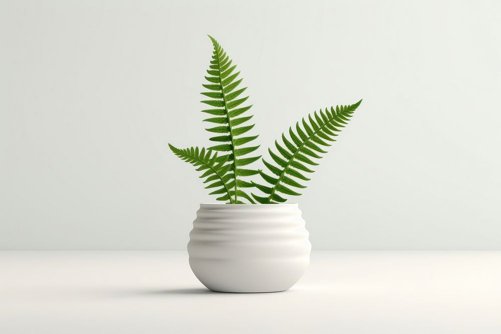 Plant fern leaf vase. AI generated Image by rawpixel.