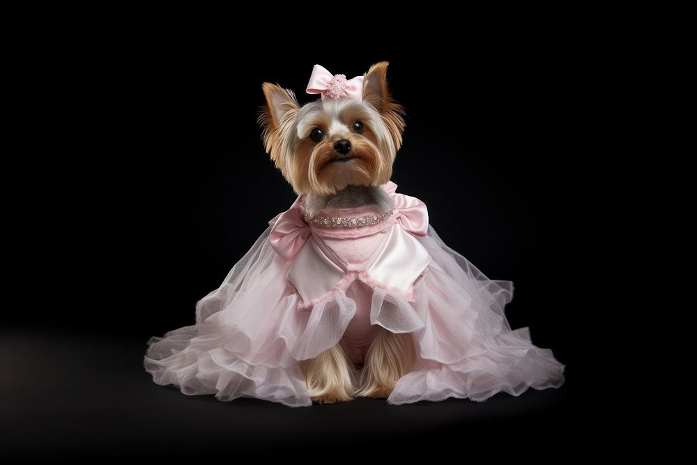 Dress pet terrier mammal. AI generated Image by rawpixel.