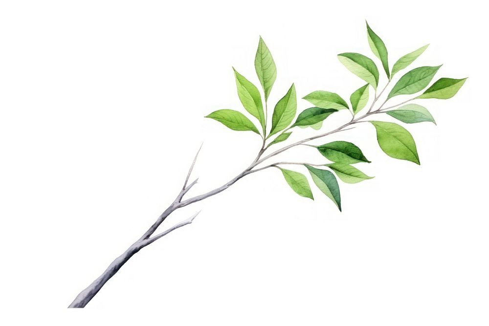 Tree branch plant green. AI generated Image by rawpixel.