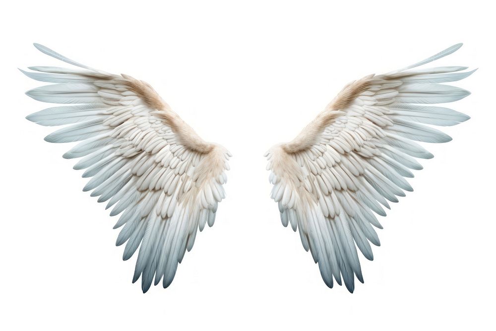 Flying white bird wing. AI generated Image by rawpixel.