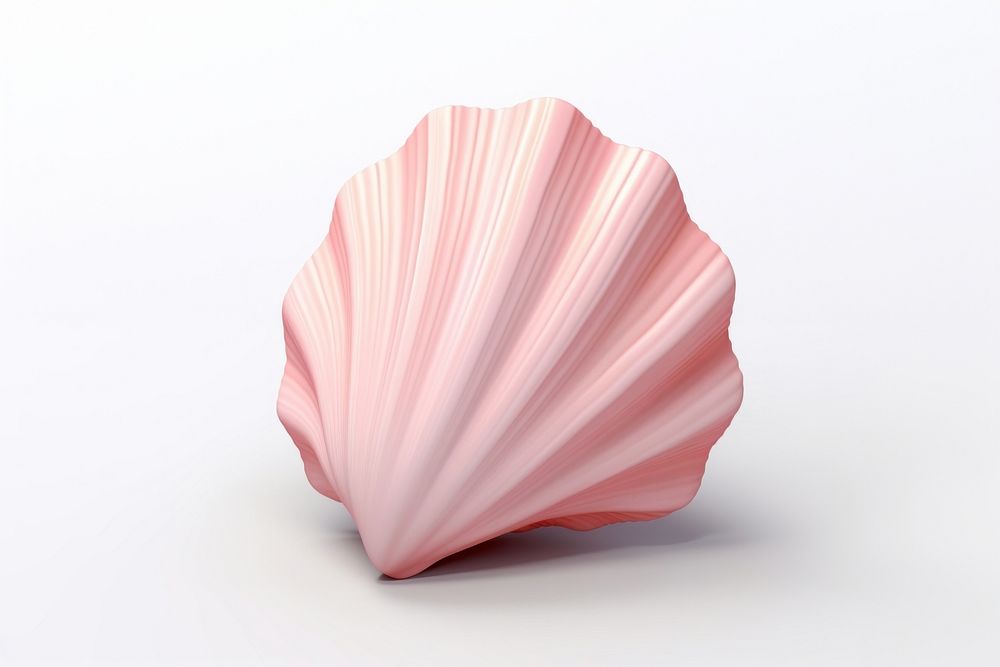 Sea shell white background invertebrate simplicity. AI generated Image by rawpixel.