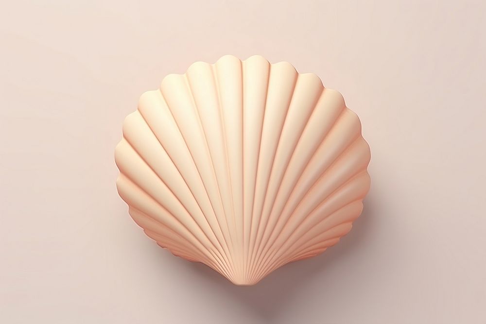 Seashell clam invertebrate simplicity. AI generated Image by rawpixel.