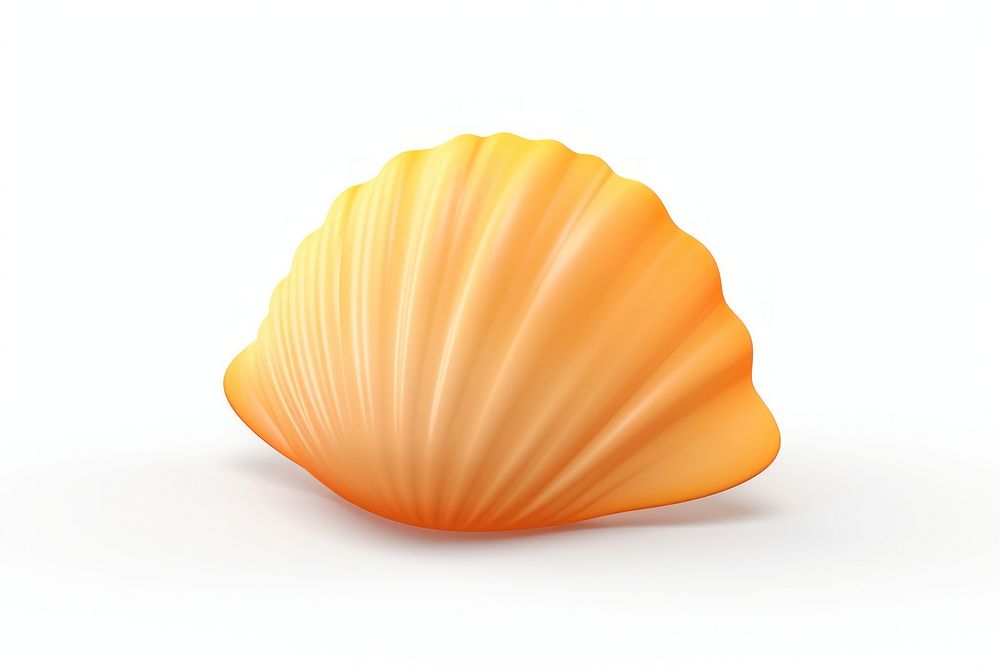 Sea shell food white background invertebrate. AI generated Image by rawpixel.