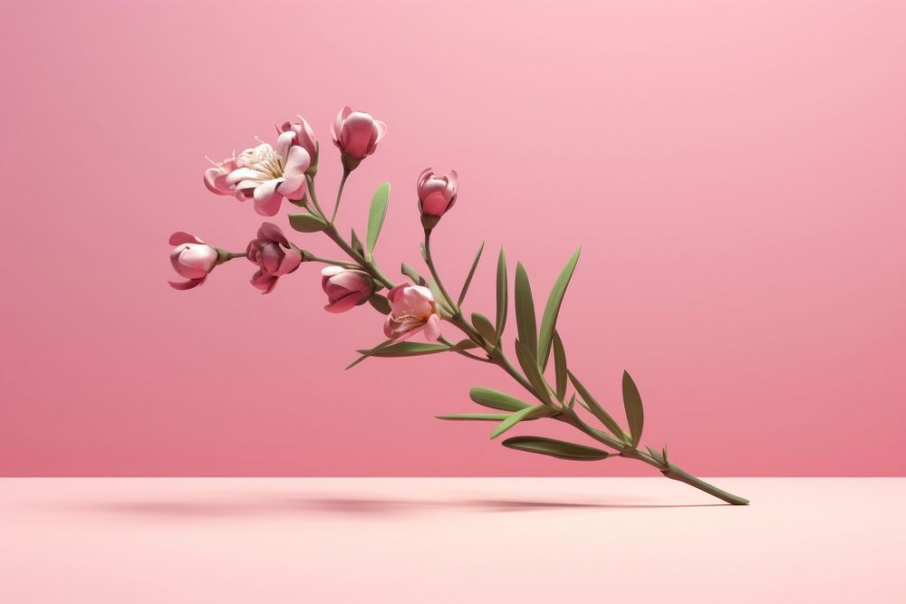 Flower blossom plant petal. AI generated Image by rawpixel.