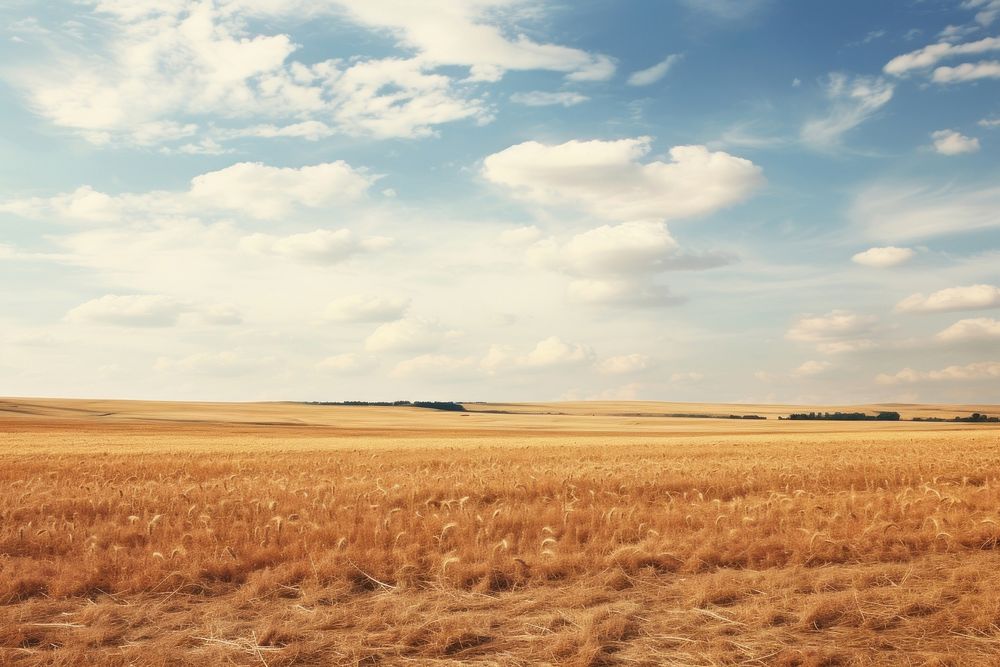 Field grassland outdoors horizon. AI generated Image by rawpixel.