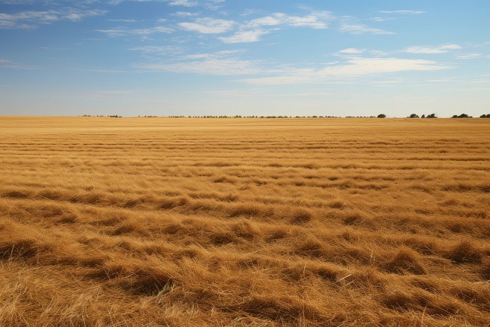 Field grassland outdoors horizon. AI generated Image by rawpixel.